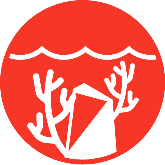 Reefs icon