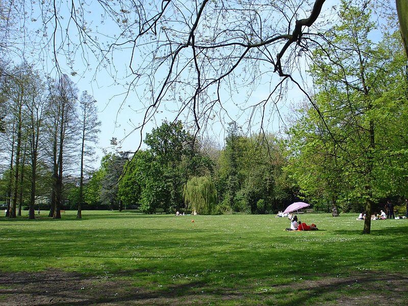 park image