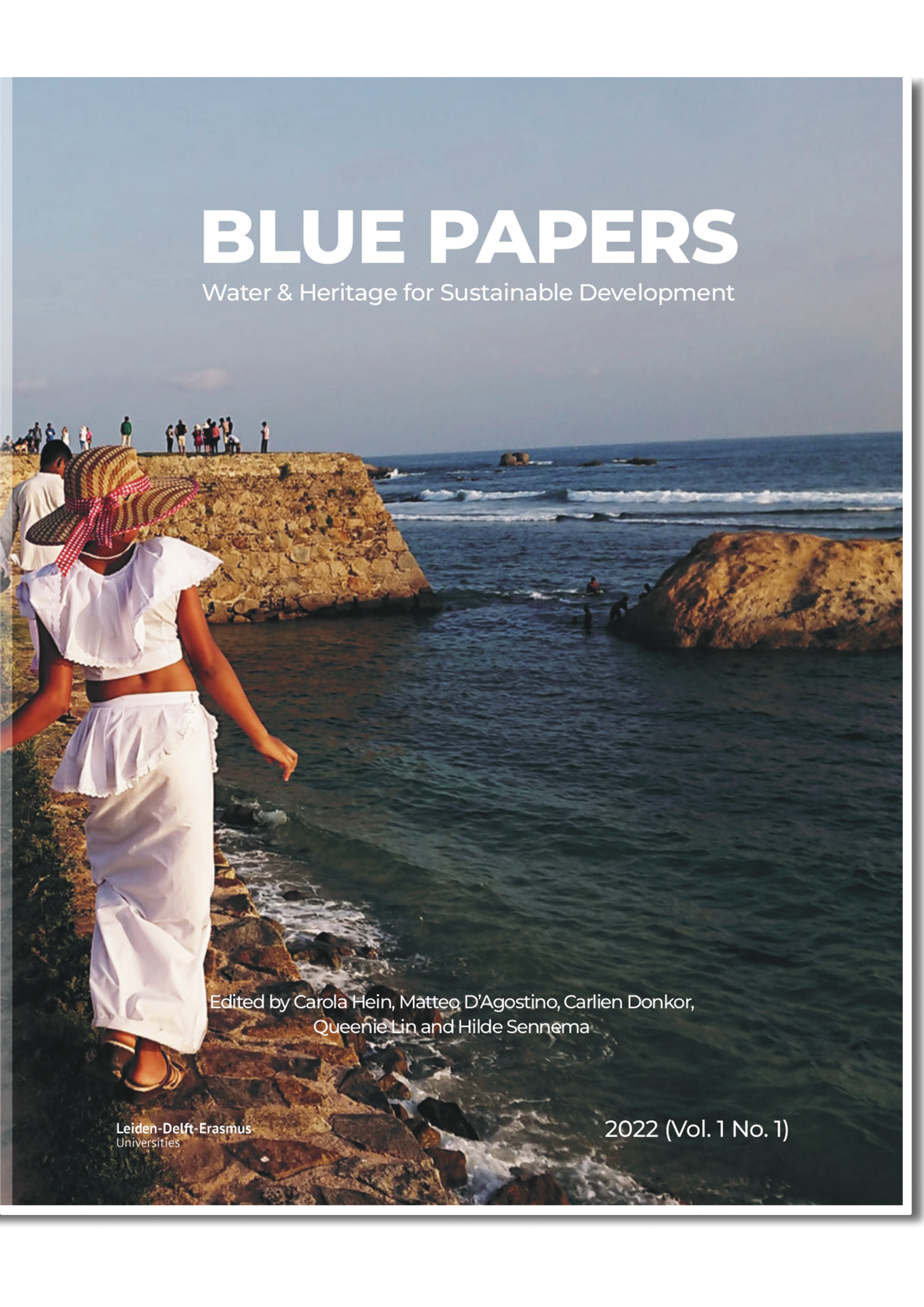 blue paper vol 1 n 1