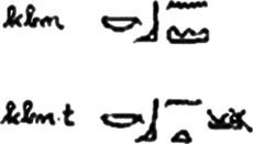 heiroglyphs