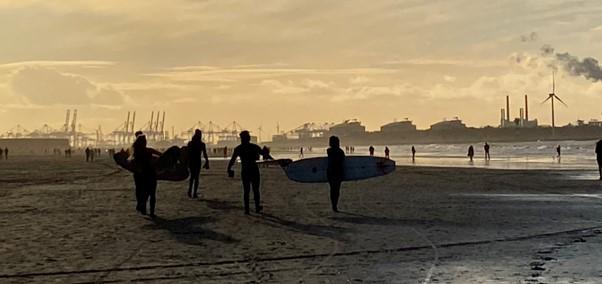 people on sunset beach