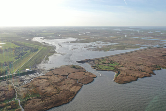 Scheldt water flows