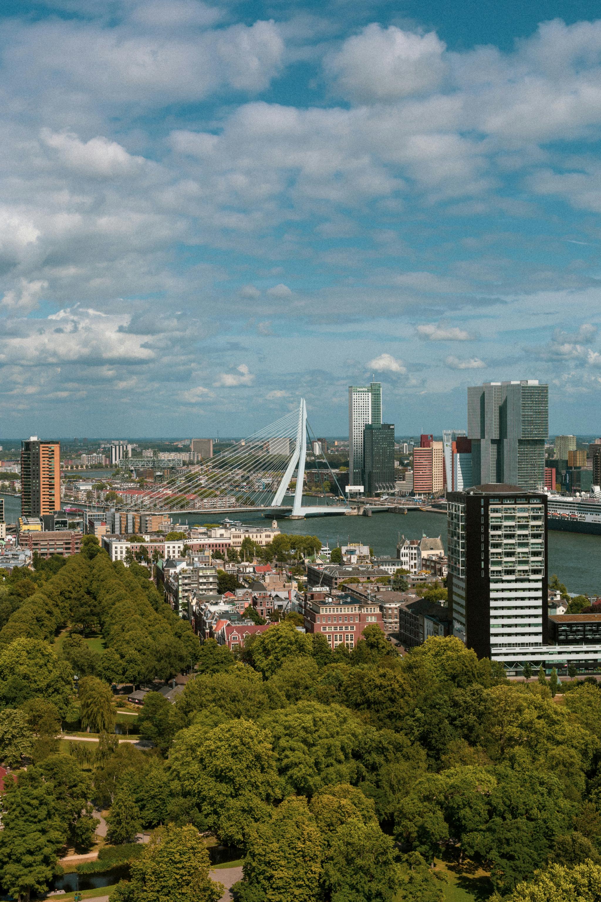 Rotterdam city view