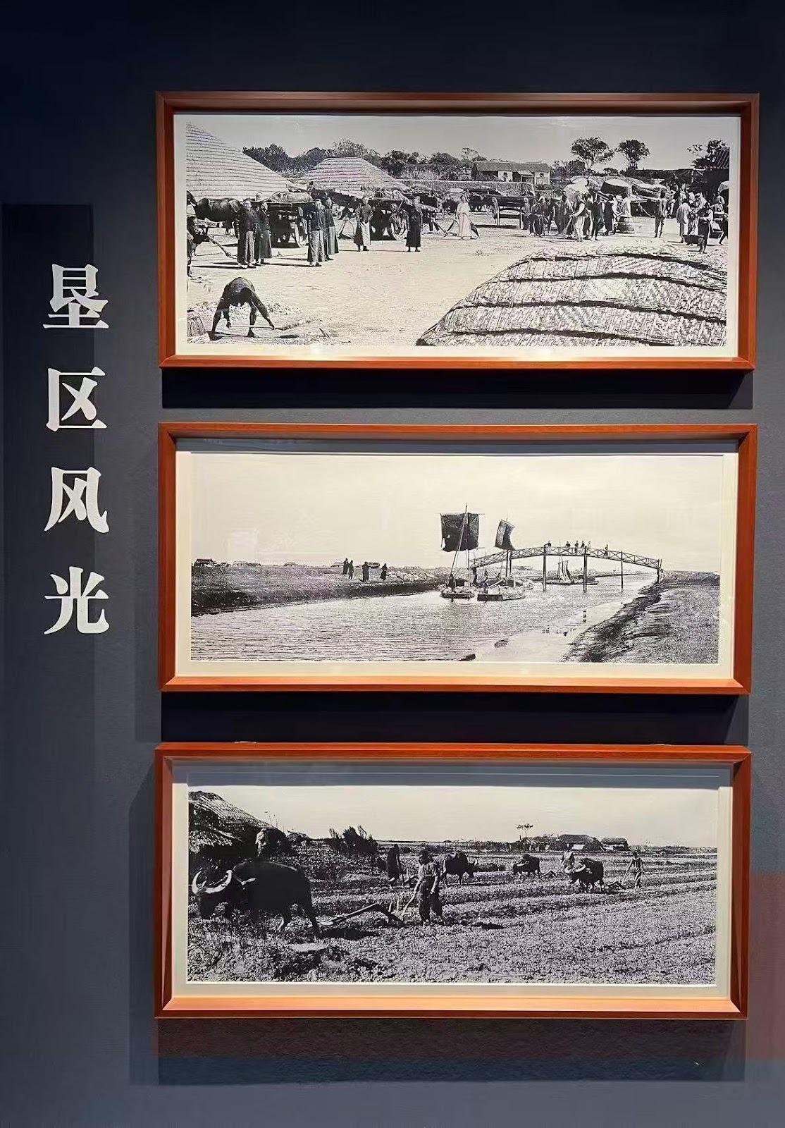 Figure 2. Scenes of the land reclamation zone, photographed at the Museum of Tonghai Land Reclamation Company.  (Source: Mingran Cao, July 2023)