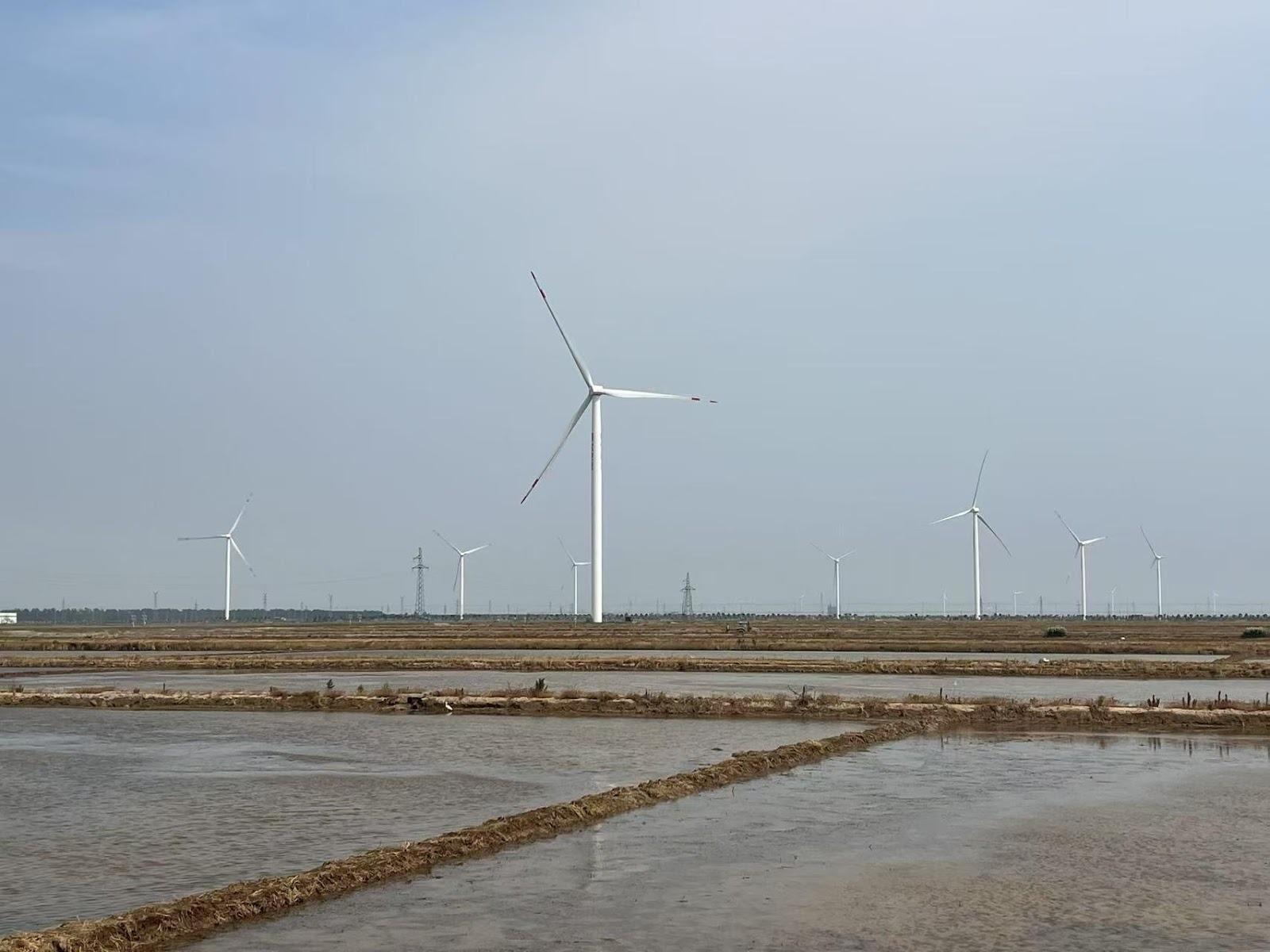 Wind turbines stand in the salt fields in Sheyang.(Source: Mingran Cao, May 2025)