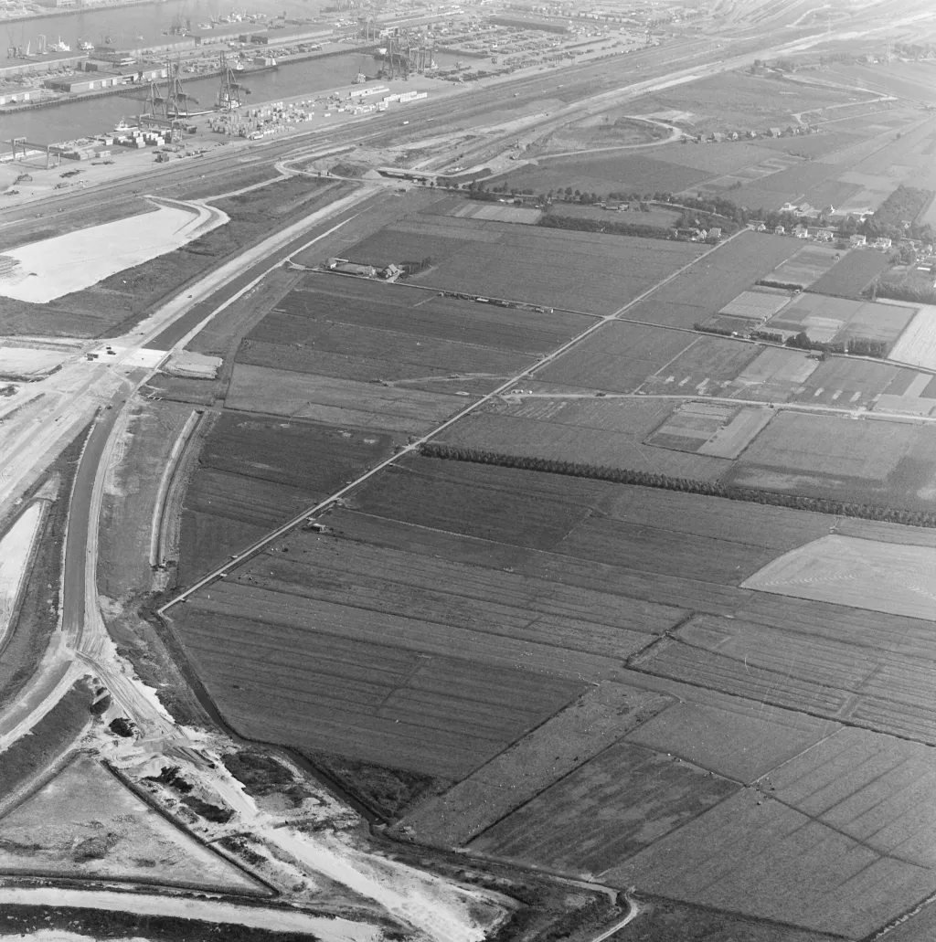 EP1 black and white image