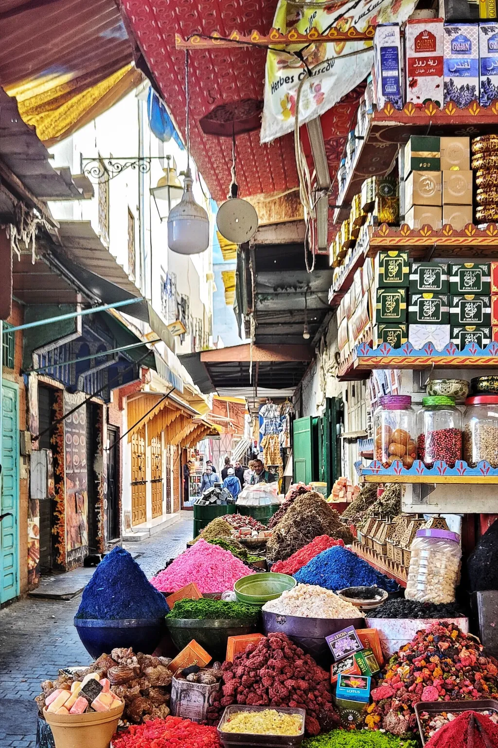 Adaptive Startegies photo