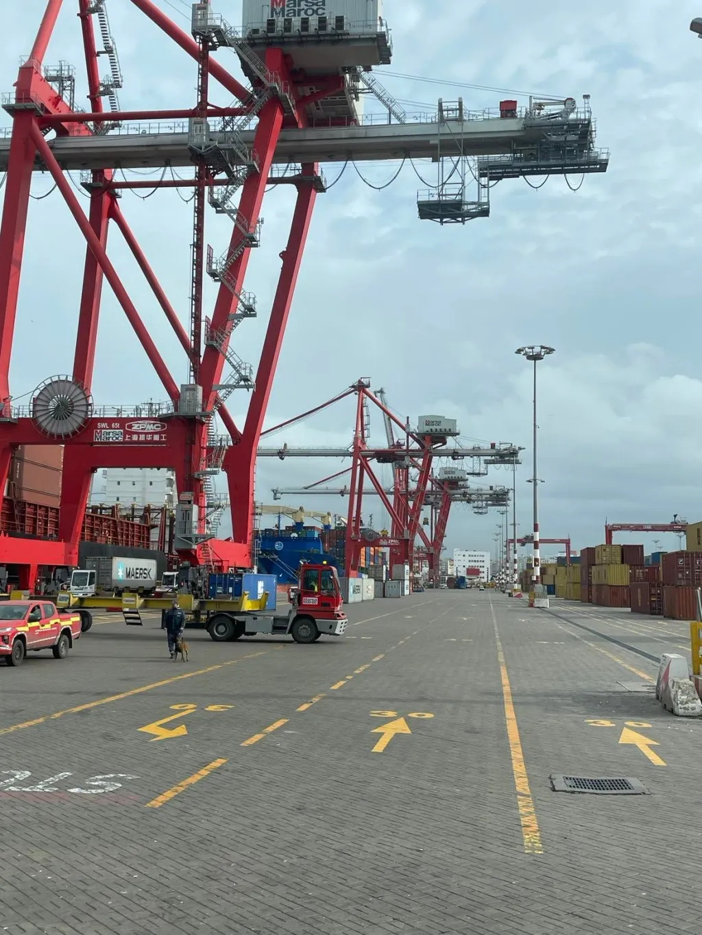 Adaptive Startegies photo