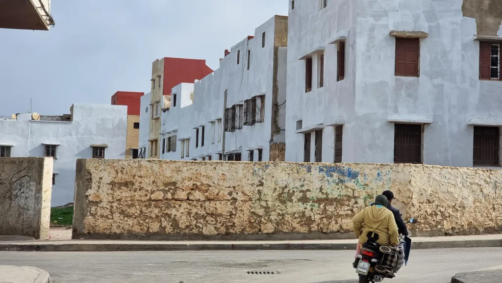 Adaptive Startegies photo