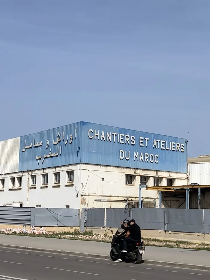 Adaptive Startegies photo