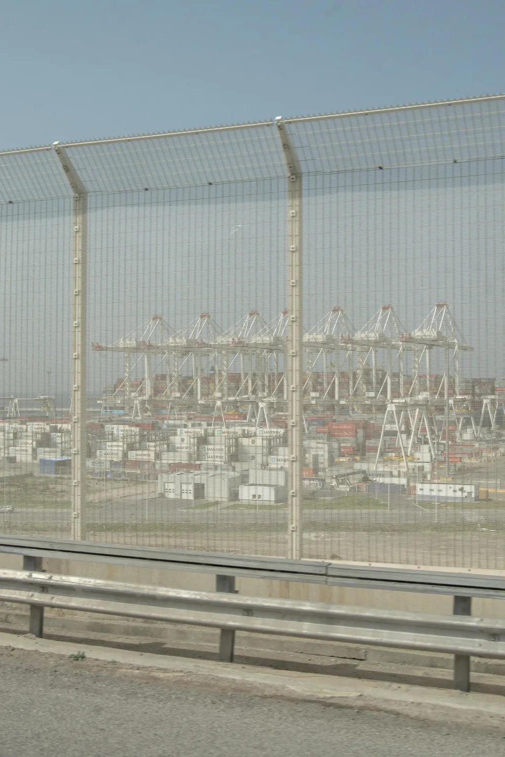 Adaptive Startegies photo