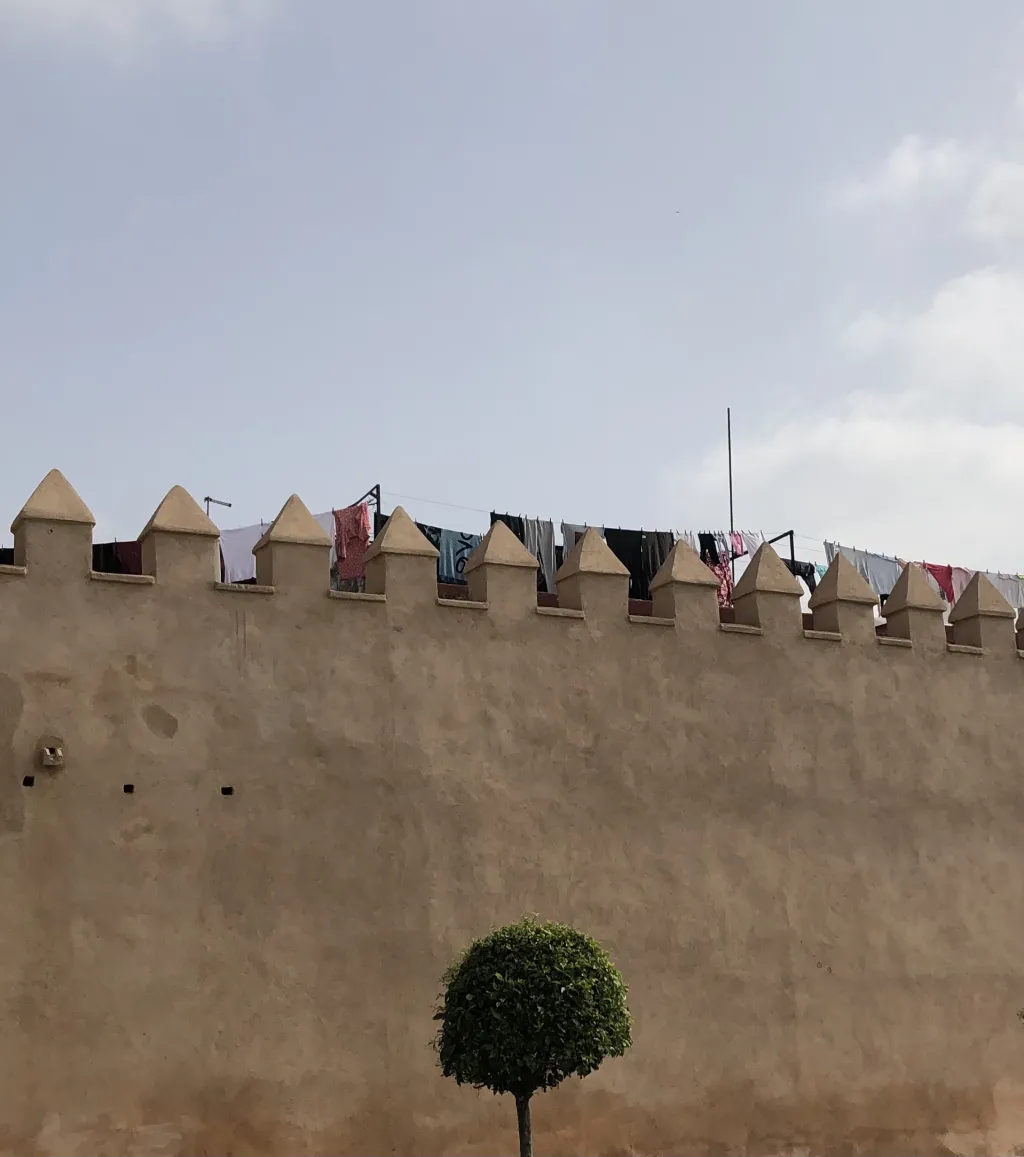 Adaptive Startegies photo