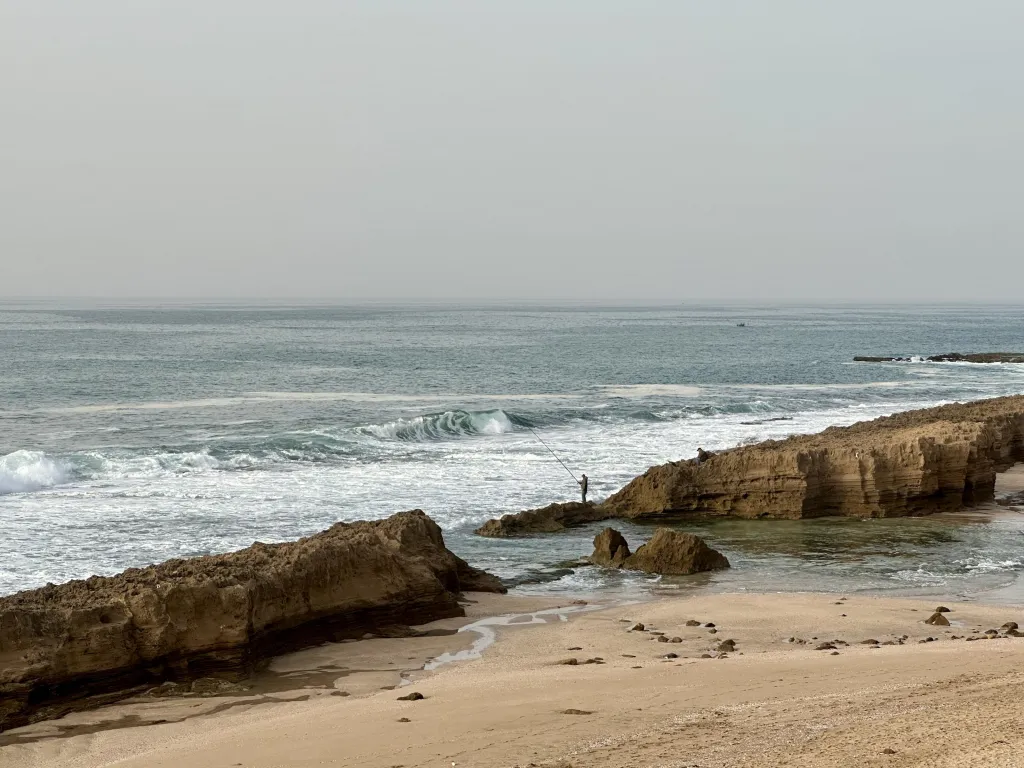 Adaptive Startegies photo