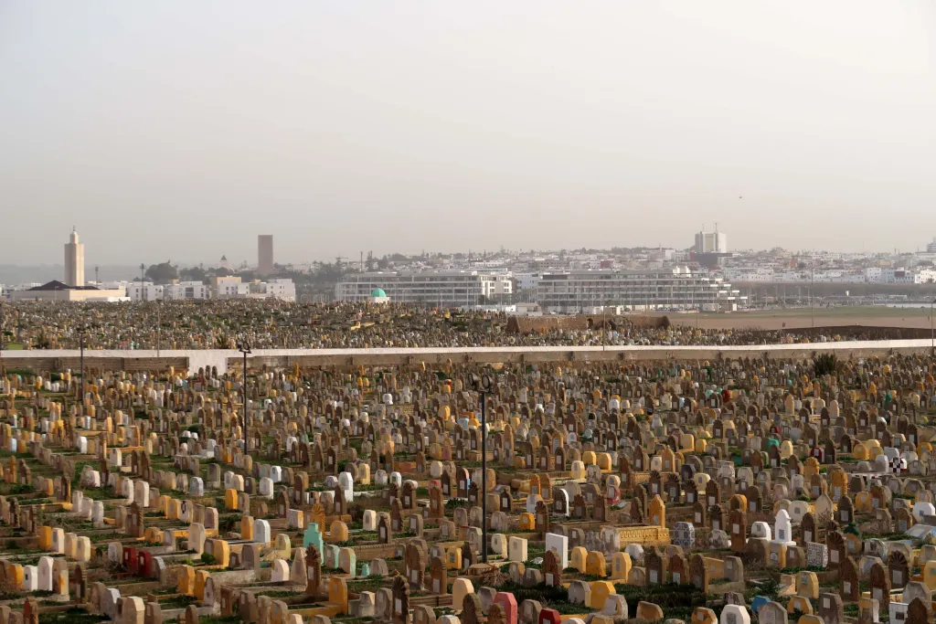 Adaptive Startegies photo