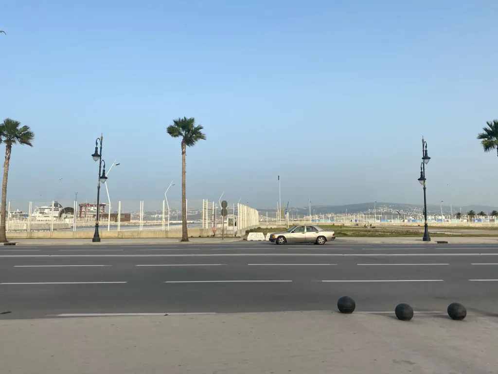 Adaptive Startegies photo