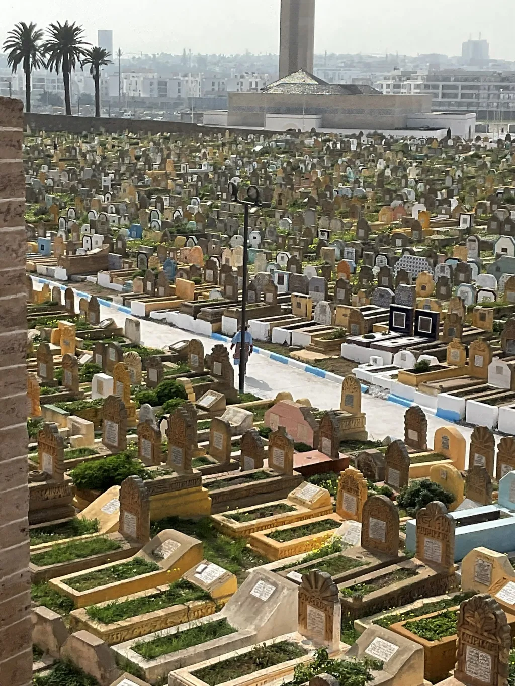 Adaptive Startegies photo