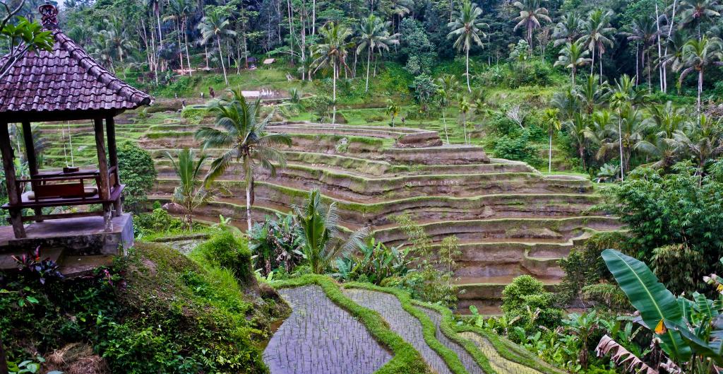 Subak Landscape