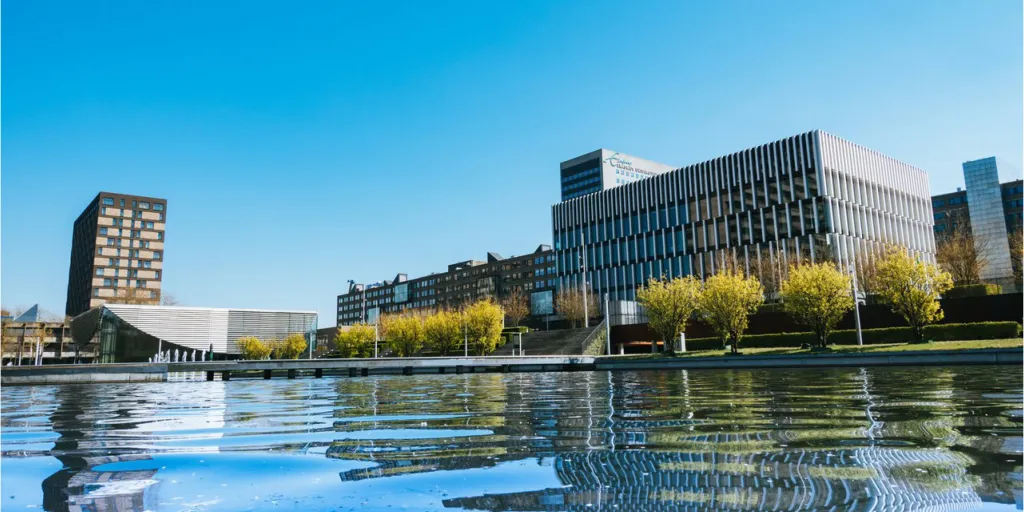 Urban History visual