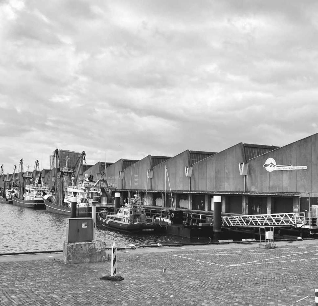 Scheveningen Fish Harbour