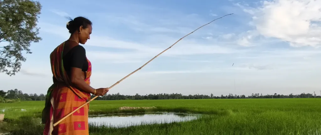 Reimagining Wetlands