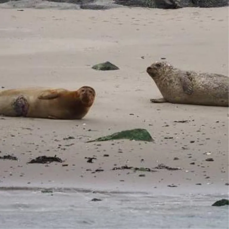 Instawalks Maasvlakte