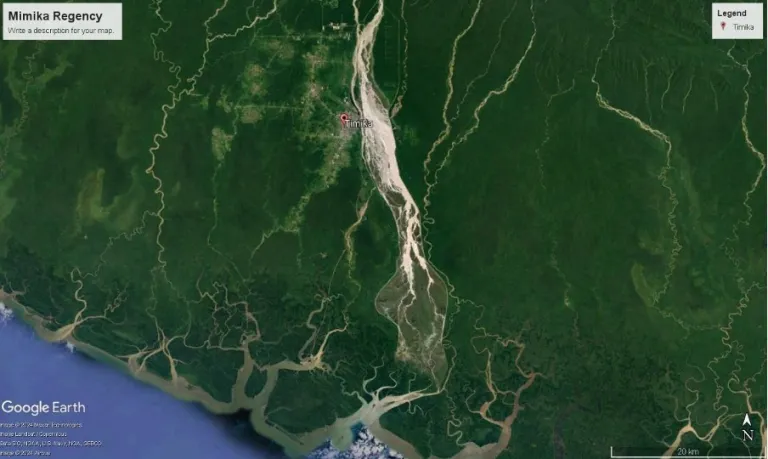 Figure 1: PT Freeport Indonesia tailings waste (Source: Google Earth)