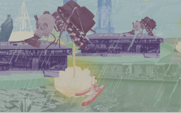 Land-water image