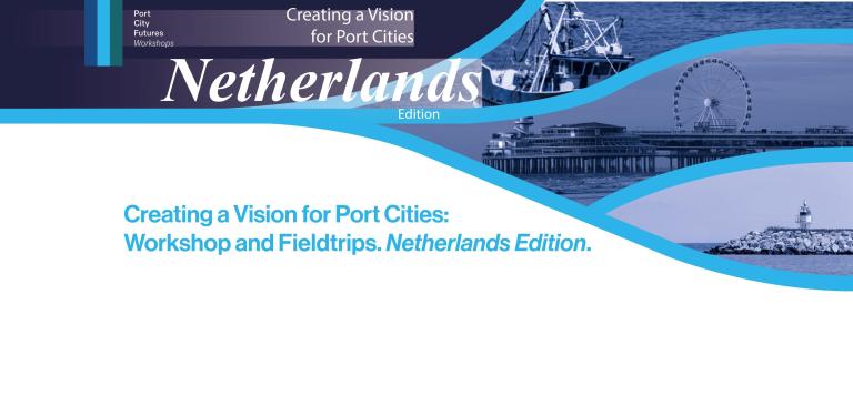 creating a vision NL