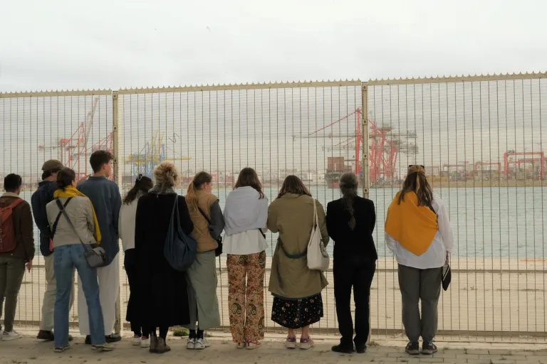 Adaptive Strategies image