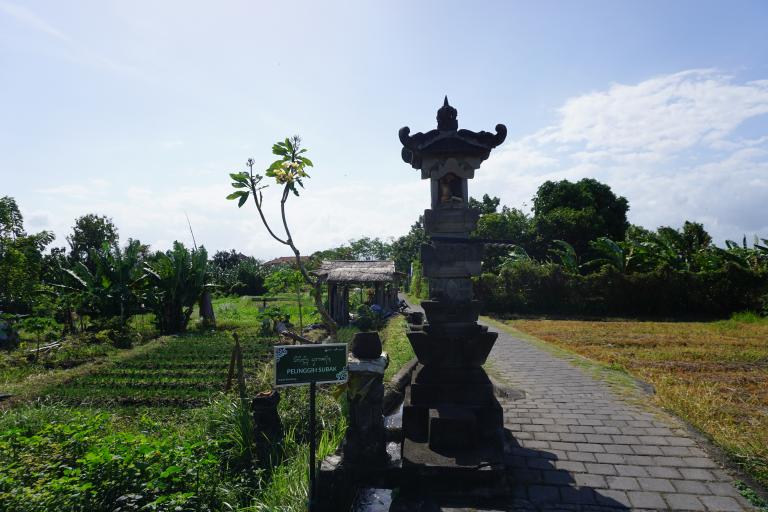 Bali
