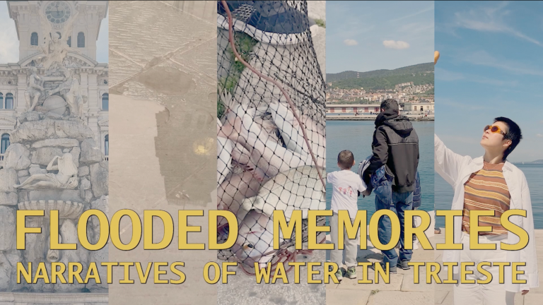 video exhibition