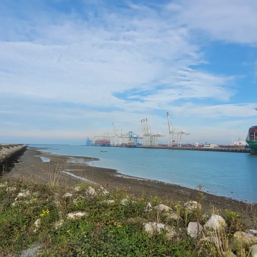 Contenainer Terminal Le Havre