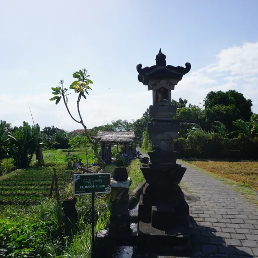 Bali