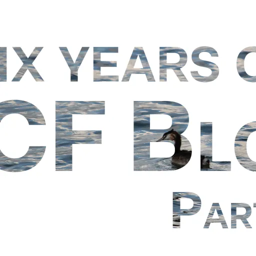 PCF Blog p.2