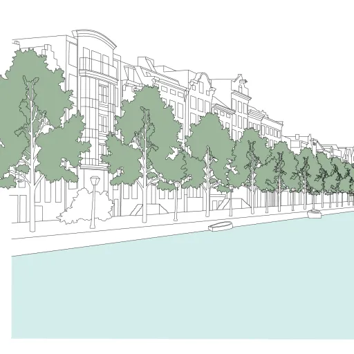 Canal Trees