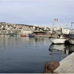 delta harbour rijeka