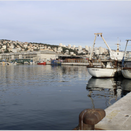 delta harbour rijeka
