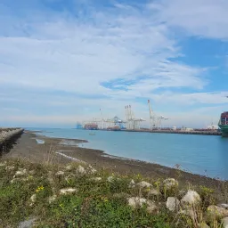Contenainer Terminal Le Havre