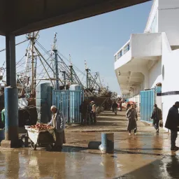 Casablanca's fishing port