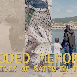 video exhibition