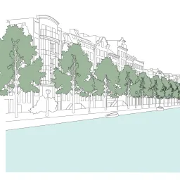 Canal Trees